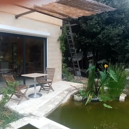 Mirabelle * Uzes